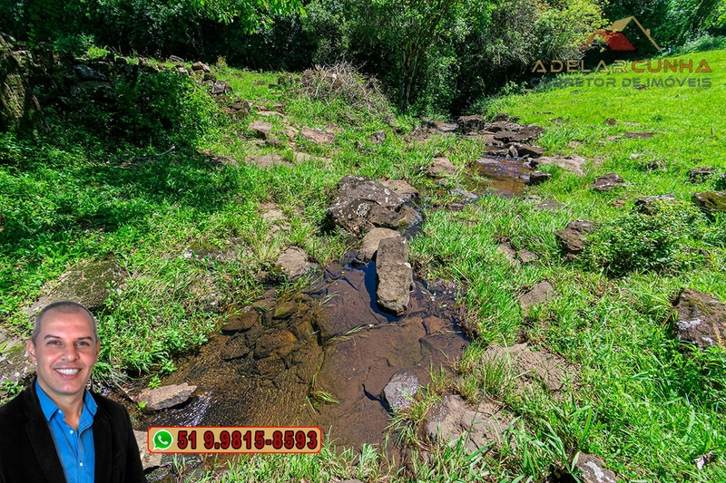 Chácara de 2.5 hectares à Venda em Igrejinha - RS: 19ª foto da galeria de imagens do imóvel