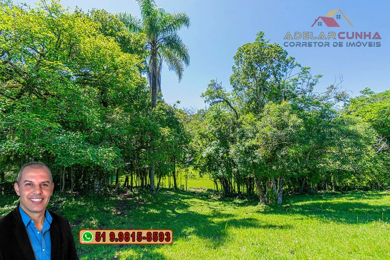 Chácara de 2.5 hectares à Venda em Igrejinha - RS: 7ª foto da galeria de imagens do imóvel
