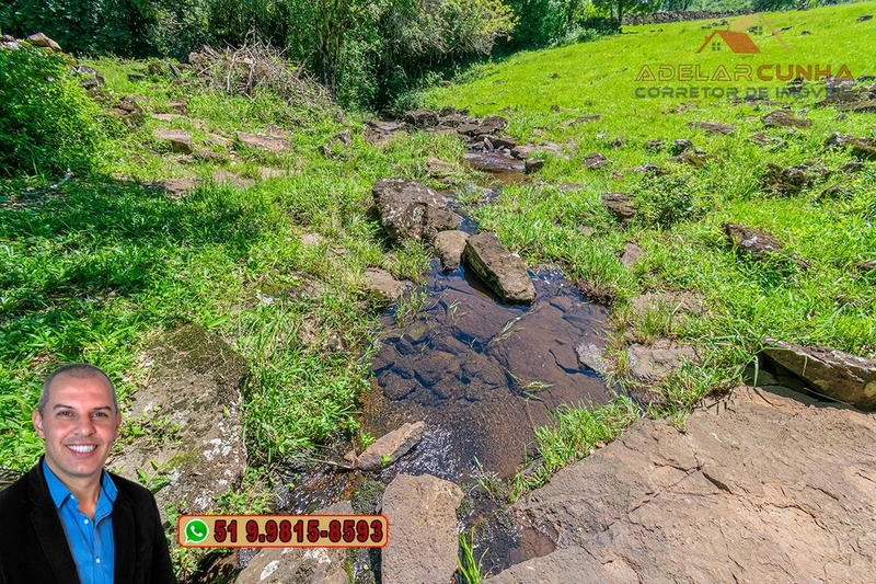 Chácara de 2.5 hectares à Venda em Igrejinha - RS: 20ª foto da galeria de imagens do imóvel