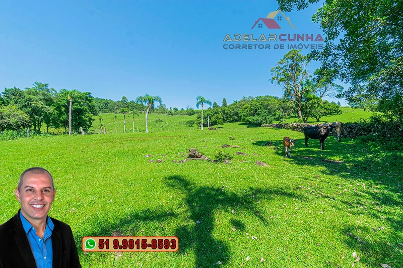 Chácara de 2.5 hectares à Venda em Igrejinha - RS: 18ª foto da galeria de imagens do imóvel