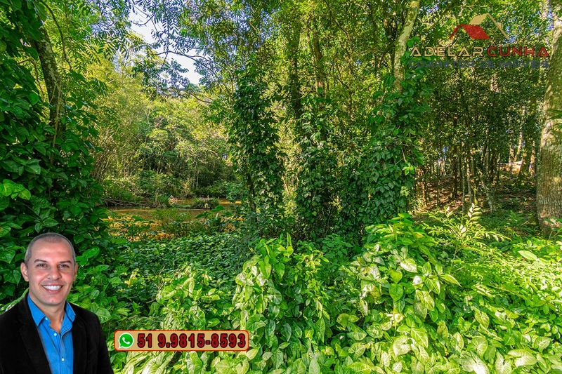 Chácara de 1.08 hectares à VENDA em Igrejinha - RS: 40ª foto da galeria de imagens do imóvel
