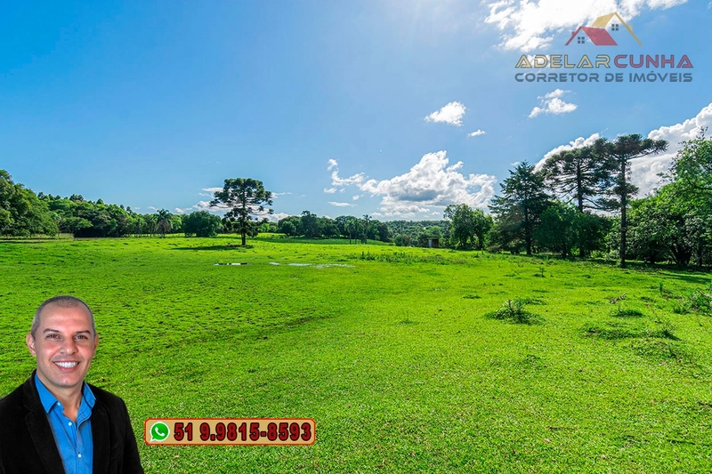 Sítio de 6 Hectares à Venda em Três Coroas - RS: 17ª foto da galeria de imagens do imóvel