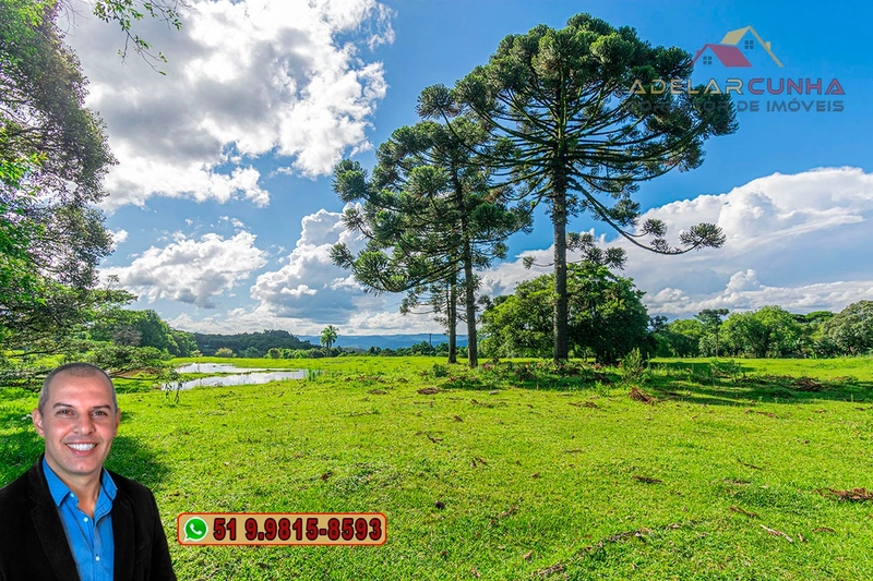 Sítio de 6 Hectares à Venda em Três Coroas - RS: 19ª foto da galeria de imagens do imóvel