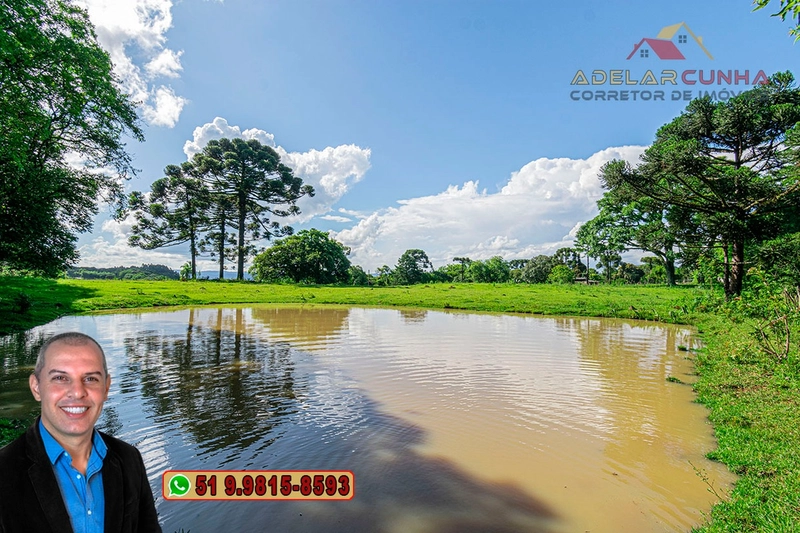 Sítio de 6 Hectares à Venda em Três Coroas - RS: 22ª foto da galeria de imagens do imóvel