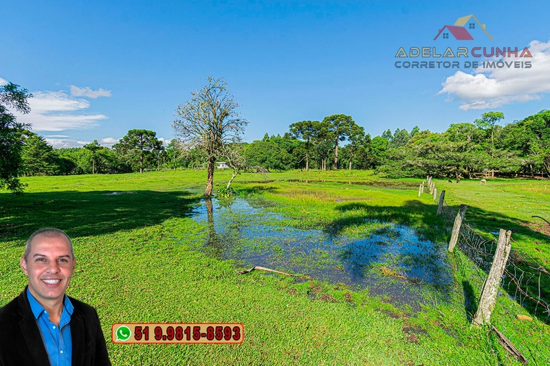 Sítio de 6 Hectares à Venda em Três Coroas - RS: 25ª foto da galeria de imagens do imóvel