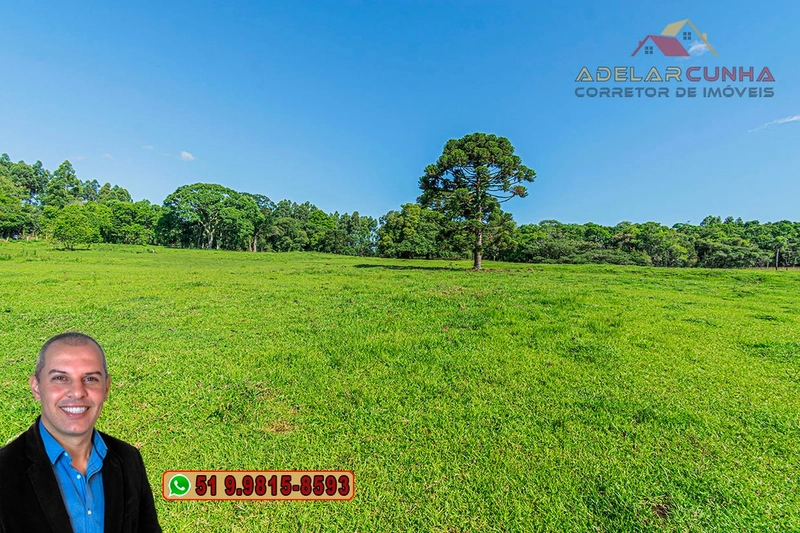Sítio de 6 Hectares à Venda em Três Coroas - RS: 12ª foto da galeria de imagens do imóvel