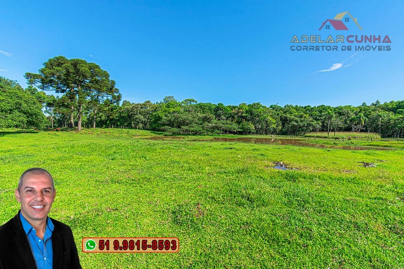 Sítio de 6 Hectares à Venda em Três Coroas - RS: 9ª foto da galeria de imagens do imóvel