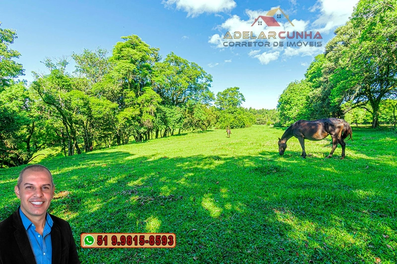 Sítio de 6 Hectares à Venda em Três Coroas - RS: 30ª foto da galeria de imagens do imóvel