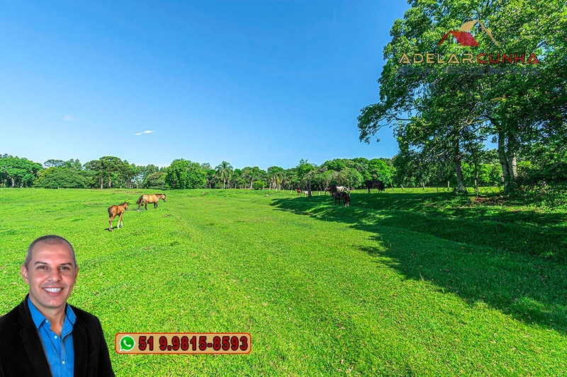 Sítio de 6 Hectares à Venda em Três Coroas - RS: 3ª foto da galeria de imagens do imóvel