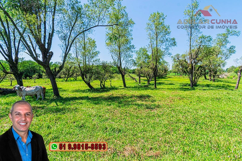 Sítio de 1.9 hectares à VENDA em Estância Velha - RS: 22ª foto da galeria de imagens do imóvel