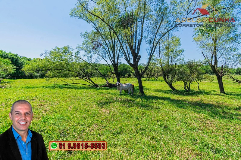 Sítio de 1.9 hectares à VENDA em Estância Velha - RS: 21ª foto da galeria de imagens do imóvel