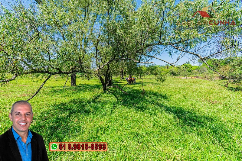 Sítio de 1.9 hectares à VENDA em Estância Velha - RS: 19ª foto da galeria de imagens do imóvel