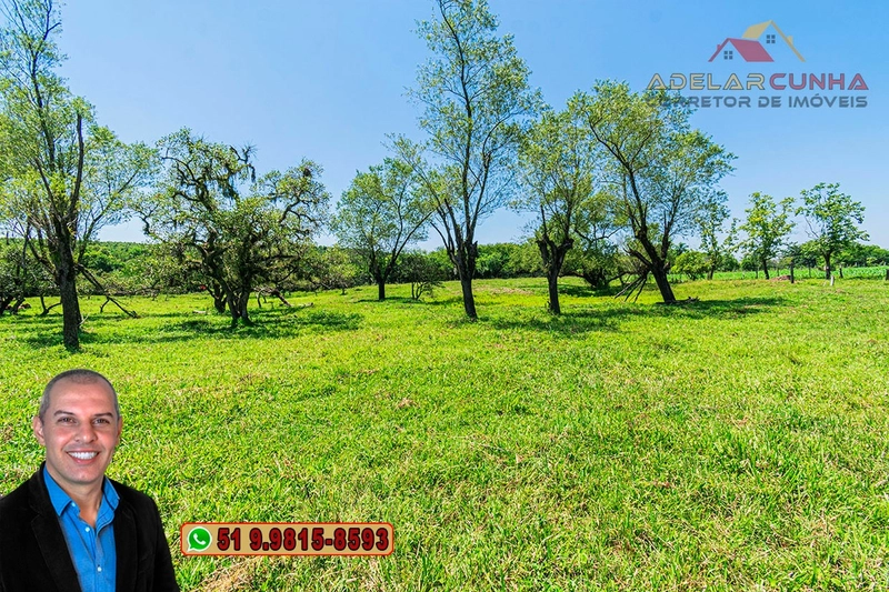Sítio de 1.9 hectares à VENDA em Estância Velha - RS: 29ª foto da galeria de imagens do imóvel