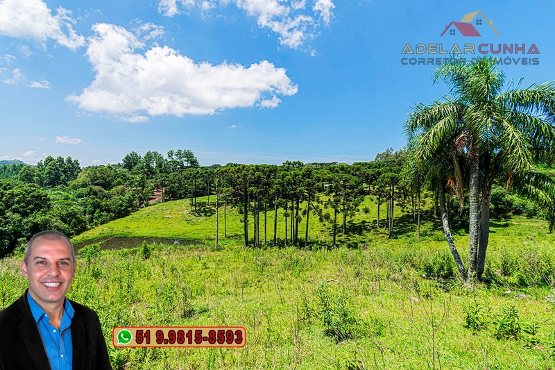 Sítio de 7 hectares à VENDA em Serra Grande, Gramado - RS: 24ª foto da galeria de imagens do imóvel