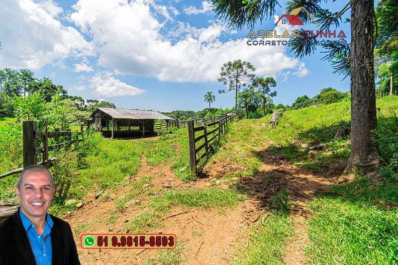 Sítio de 7 hectares à VENDA em Serra Grande, Gramado - RS: 12ª foto da galeria de imagens do imóvel
