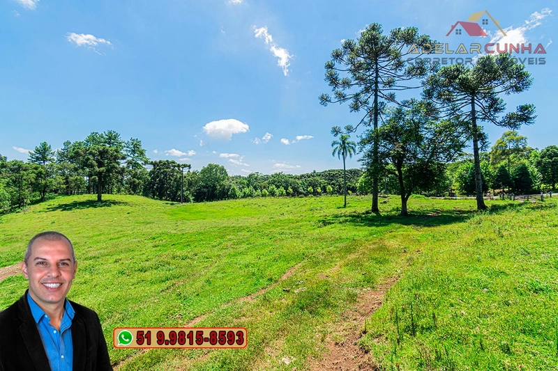 Sítio de 7 hectares à VENDA em Serra Grande, Gramado - RS: 8ª foto da galeria de imagens do imóvel