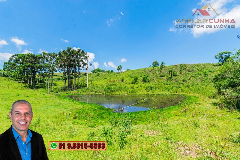 Sítio de 7 hectares à VENDA em Serra Grande, Gramado - RS: 19ª foto da galeria de imagens do imóvel