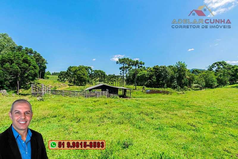 Sítio de 7 hectares à VENDA em Serra Grande, Gramado - RS: 10ª foto da galeria de imagens do imóvel