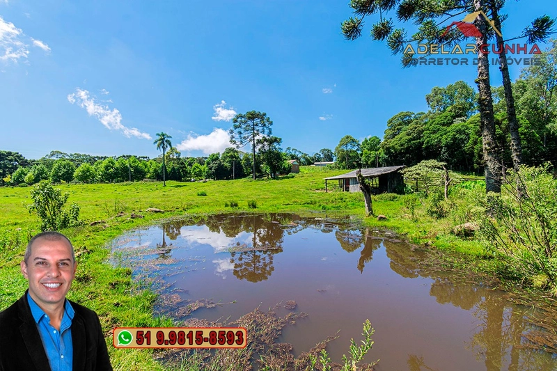 Sítio de 7 hectares à VENDA em Serra Grande, Gramado - RS: 6ª foto da galeria de imagens do imóvel