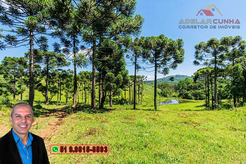 Sítio de 7 hectares à VENDA em Serra Grande, Gramado - RS: 16ª foto da galeria de imagens do imóvel