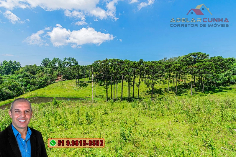 Sítio de 7 hectares à VENDA em Serra Grande, Gramado - RS: 23ª foto da galeria de imagens do imóvel
