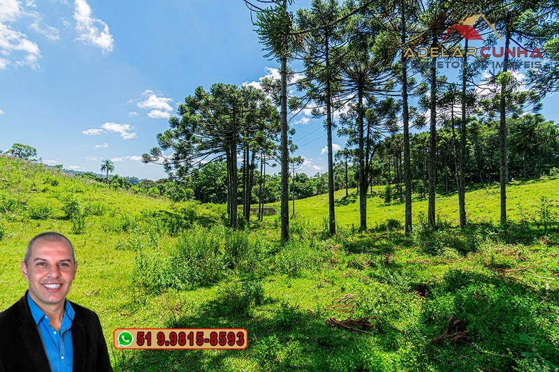 Sítio de 7 hectares à VENDA em Serra Grande, Gramado - RS: 21ª foto da galeria de imagens do imóvel