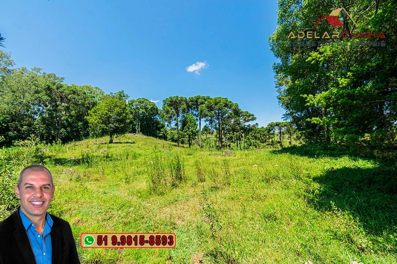 Sítio de 7 hectares à VENDA em Serra Grande, Gramado - RS: 15ª foto da galeria de imagens do imóvel