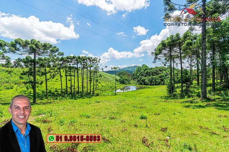 Sítio de 7 hectares à VENDA em Serra Grande, Gramado - RS: 17ª foto da galeria de imagens do imóvel