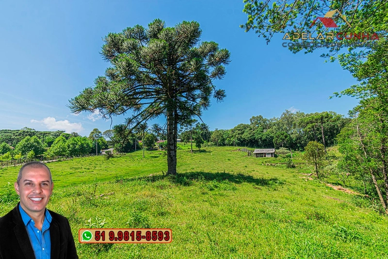 Sítio de 7 hectares à VENDA em Serra Grande, Gramado - RS: 5ª foto da galeria de imagens do imóvel