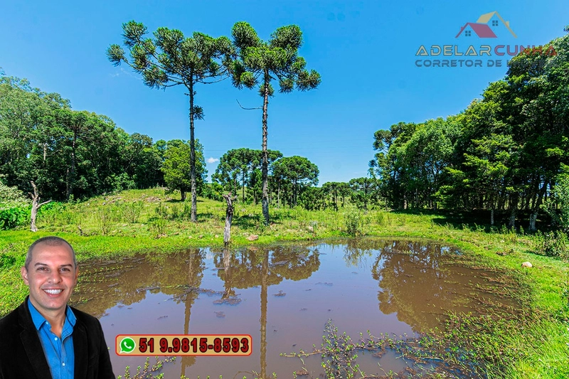 Sítio de 7 hectares à VENDA em Serra Grande, Gramado - RS: 7ª foto da galeria de imagens do imóvel