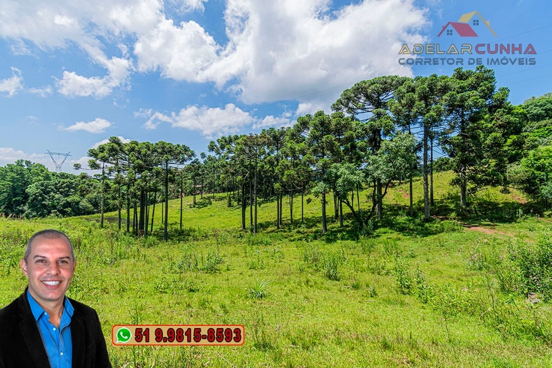 Sítio de 7 hectares à VENDA em Serra Grande, Gramado - RS: 22ª foto da galeria de imagens do imóvel