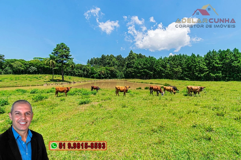 Sítio de 7 hectares à VENDA em Serra Grande, Gramado - RS: 42ª foto da galeria de imagens do imóvel