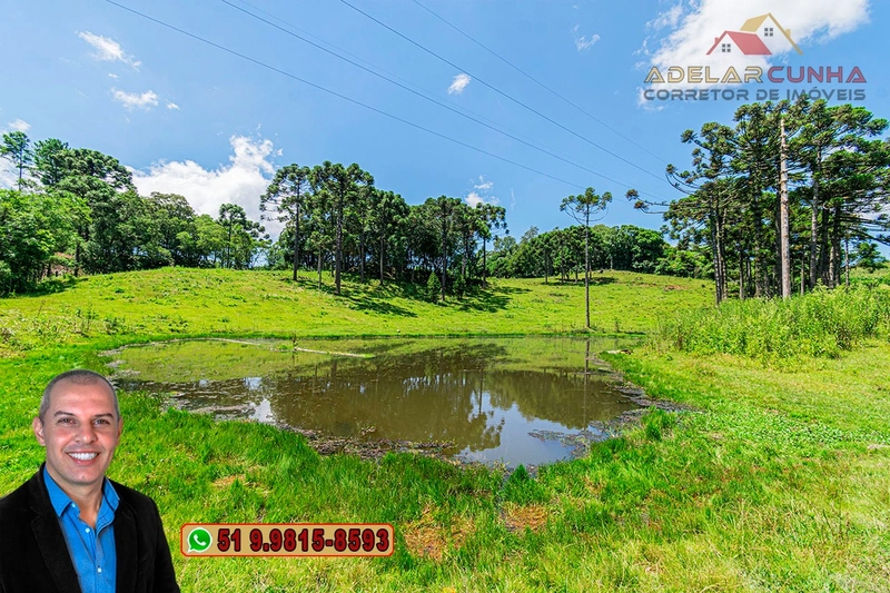 Sítio de 7 hectares à VENDA em Serra Grande, Gramado - RS: 20ª foto da galeria de imagens do imóvel