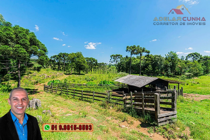 Sítio de 7 hectares à VENDA em Serra Grande, Gramado - RS: 11ª foto da galeria de imagens do imóvel