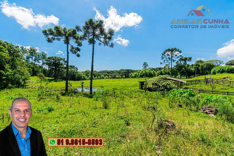 Sítio de 7 hectares à VENDA em Serra Grande, Gramado - RS: 13ª foto da galeria de imagens do imóvel