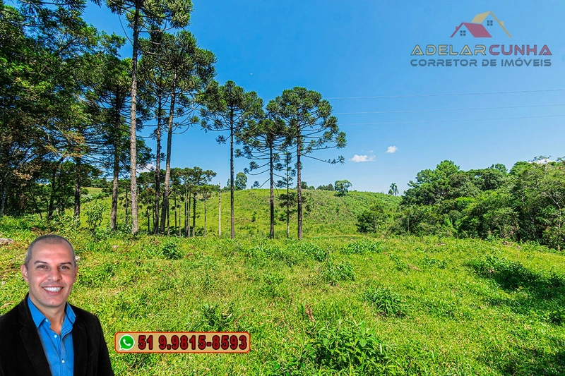 Sítio de 7 hectares à VENDA em Serra Grande, Gramado - RS: 14ª foto da galeria de imagens do imóvel