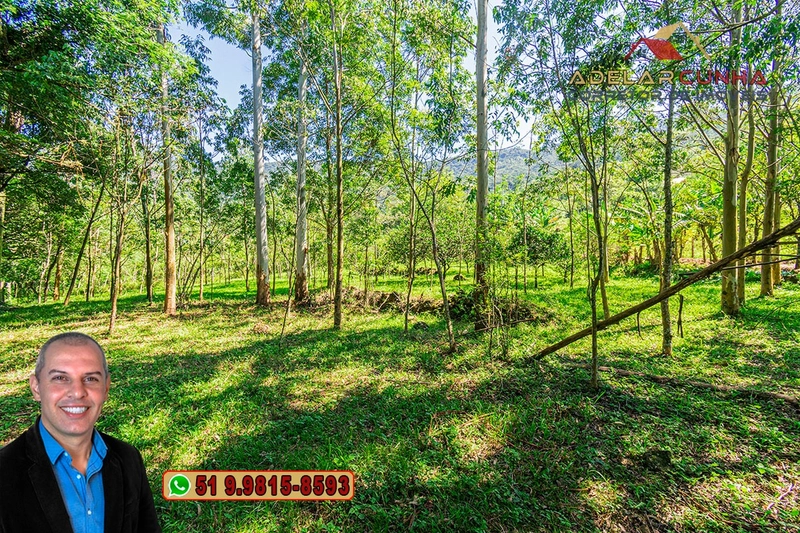 Sítio de 3.2 hectares à VENDA em Igrejinha - RS: 41ª foto da galeria de imagens do imóvel