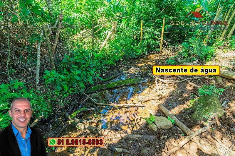 Sítio de 3.2 hectares à VENDA em Igrejinha - RS: 9ª foto da galeria de imagens do imóvel