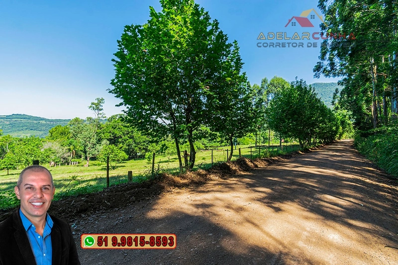Sítio de 3.2 hectares à VENDA em Igrejinha - RS: 45ª foto da galeria de imagens do imóvel