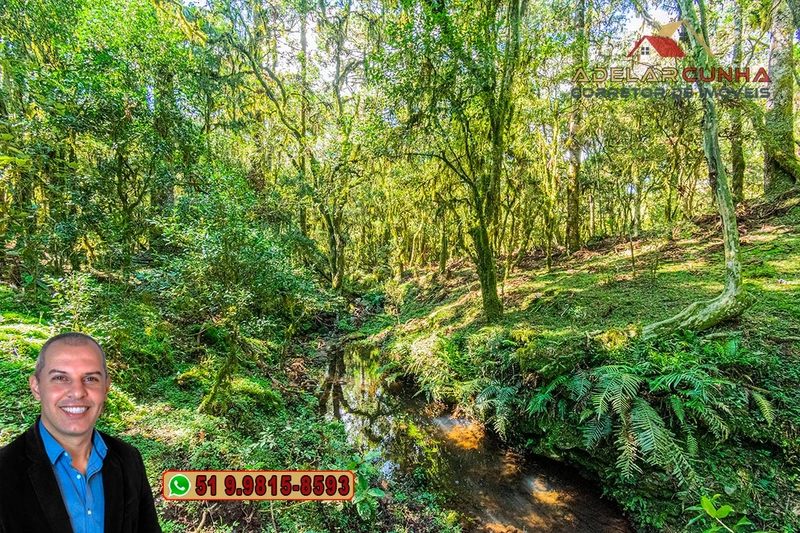 Sítio de 15 hectares à VENDA em São Francisco de Paula - RS: 31ª foto da galeria de imagens do imóvel