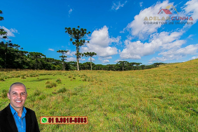 Sítio de 15 hectares à VENDA em São Francisco de Paula - RS: 24ª foto da galeria de imagens do imóvel
