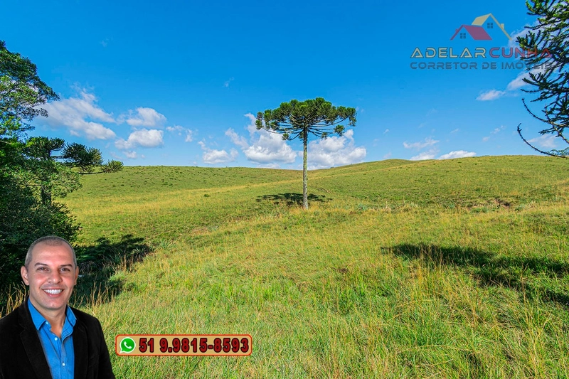 Sítio de 15 hectares à VENDA em São Francisco de Paula - RS: 17ª foto da galeria de imagens do imóvel