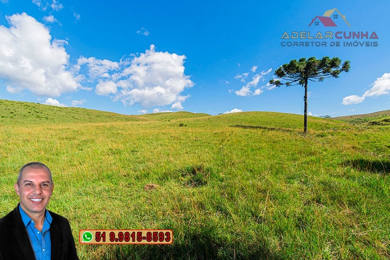Sítio de 15 hectares à VENDA em São Francisco de Paula - RS: 37ª foto da galeria de imagens do imóvel