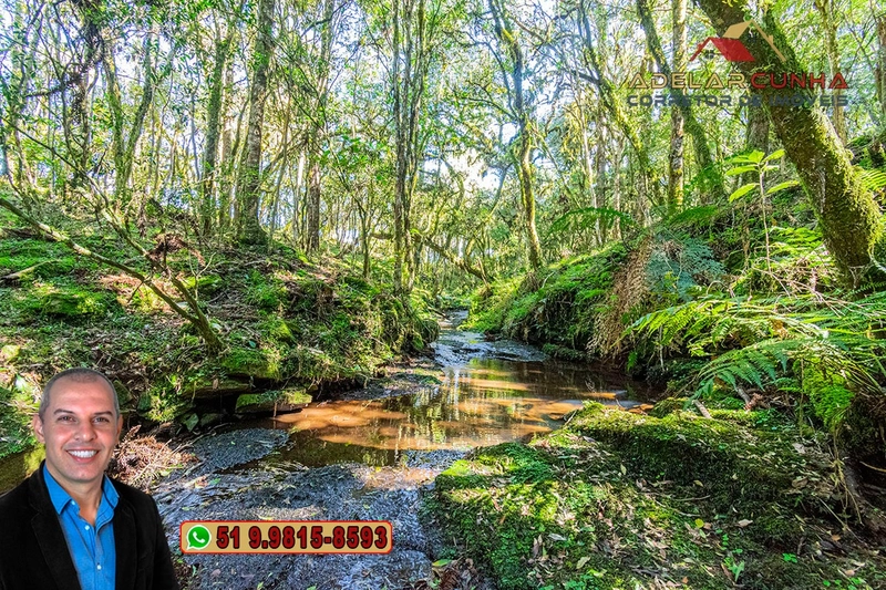Sítio de 15 hectares à VENDA em São Francisco de Paula - RS: 33ª foto da galeria de imagens do imóvel