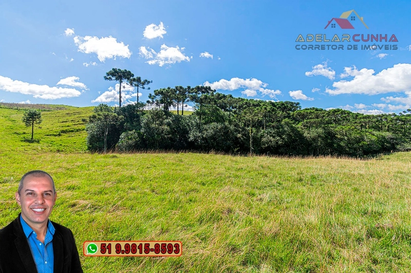 Sítio de 15 hectares à VENDA em São Francisco de Paula - RS: 38ª foto da galeria de imagens do imóvel