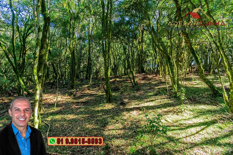 Sítio de 15 hectares à VENDA em São Francisco de Paula - RS: 27ª foto da galeria de imagens do imóvel