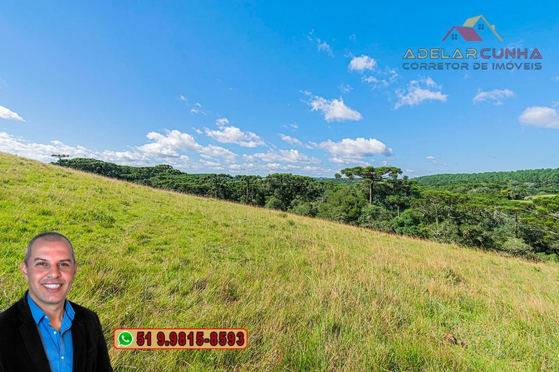 Sítio de 15 hectares à VENDA em São Francisco de Paula - RS: 20ª foto da galeria de imagens do imóvel