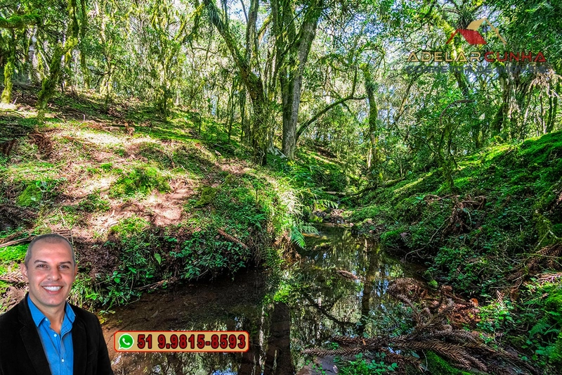 Sítio de 15 hectares à VENDA em São Francisco de Paula - RS: 30ª foto da galeria de imagens do imóvel