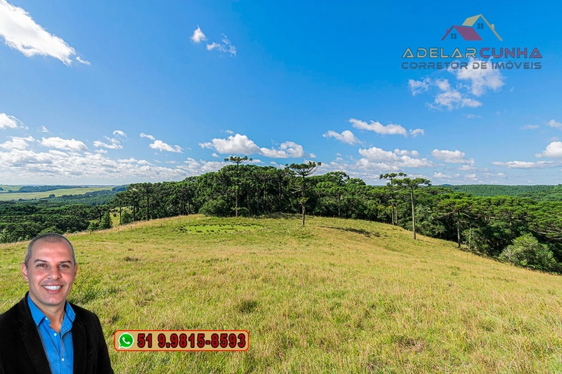 Sítio de 15 hectares à VENDA em São Francisco de Paula - RS: 22ª foto da galeria de imagens do imóvel