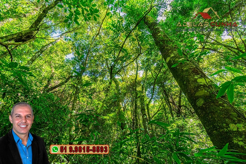 Sítio de 3.7 hectares à VENDA Gramado - RS: 4ª foto da galeria de imagens do imóvel